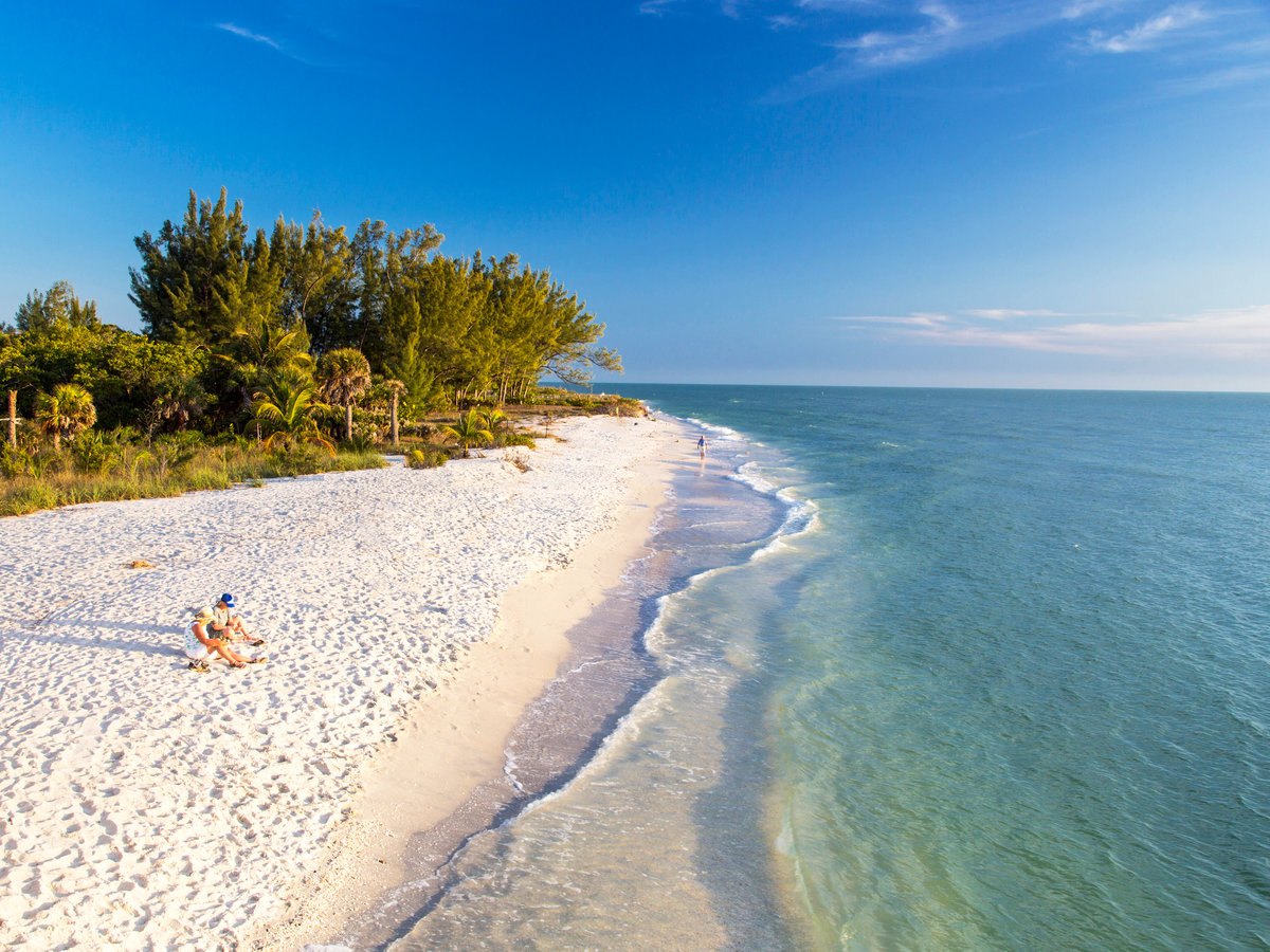 sanibel-beach-shells-478154757